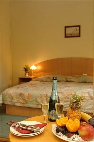 Platanus hotel Budapest - szoba - Hunguest hotel Platanus