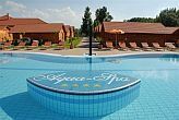 Aqua-Spa Wellness Hotel**** Cserkeszőlő külső medencéje